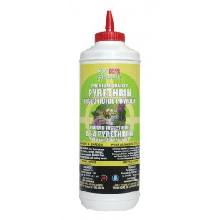 Poudre insecticide pyrethrine