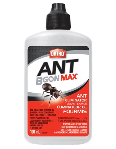 Ant b gon max