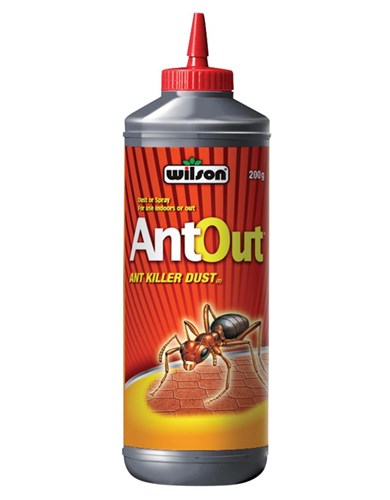 Destructeur ant out (fourmis)