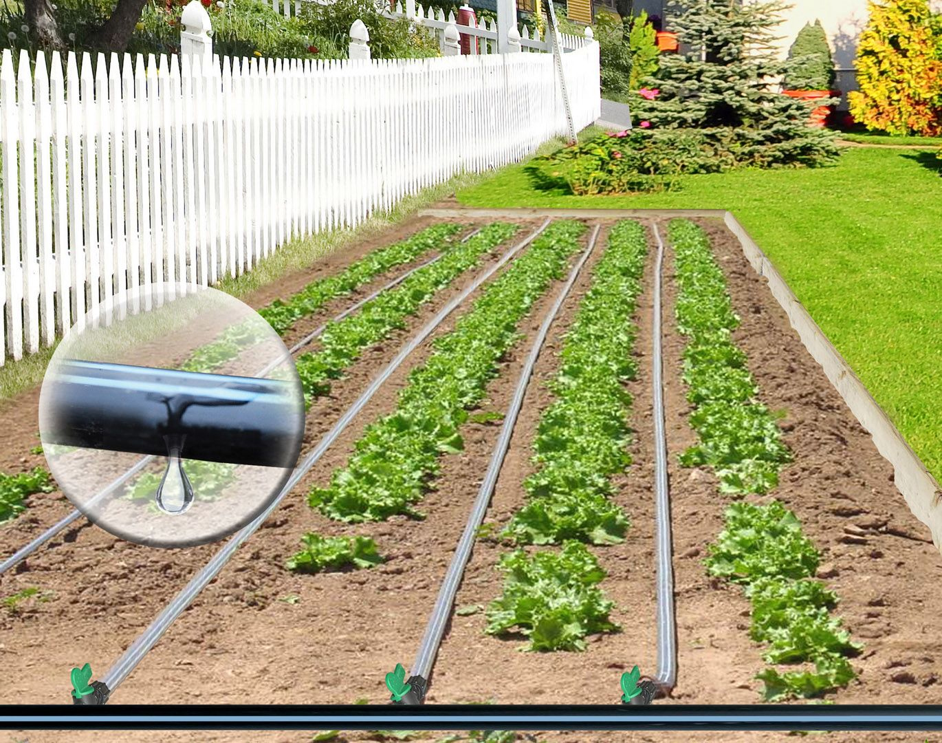 Test: les 10 meilleurs systèmes d'irrigation - Mon Jardin Ideal