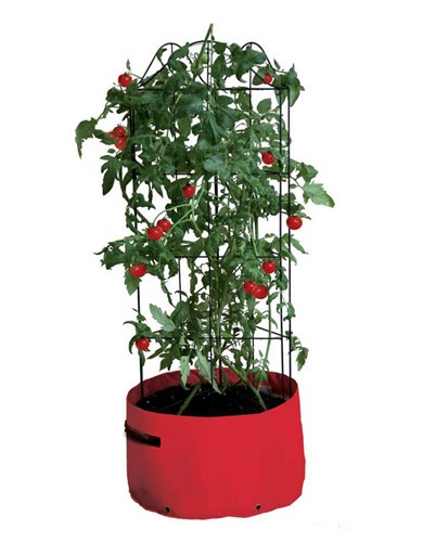 Jardiniere ronde a tomates
