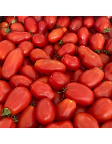 Tomate rouge san marzano (bio)