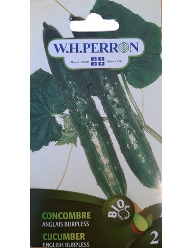 Concombre anglais burpless(bio